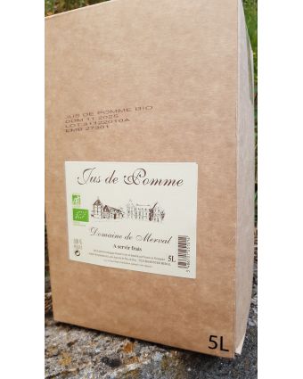 Jus de pomme 5 litres bio