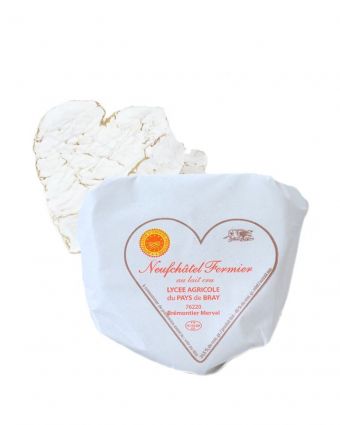 Briquette de Neufchâtel 100g